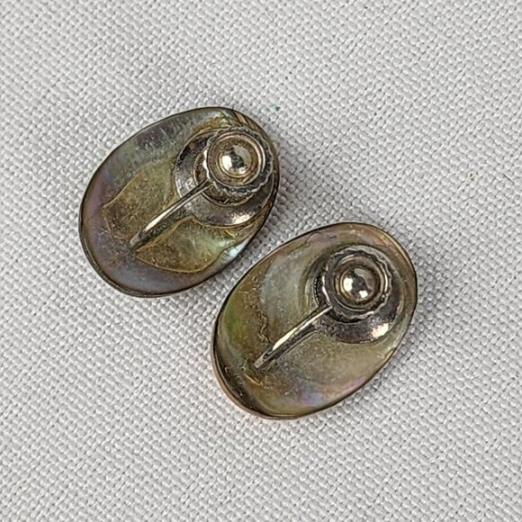 Vintage Abalone Schell Screw Back Earrings - Picture 4 of 5